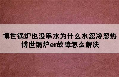 博世锅炉也没串水为什么水忽冷忽热 博世锅炉er故障怎么解决